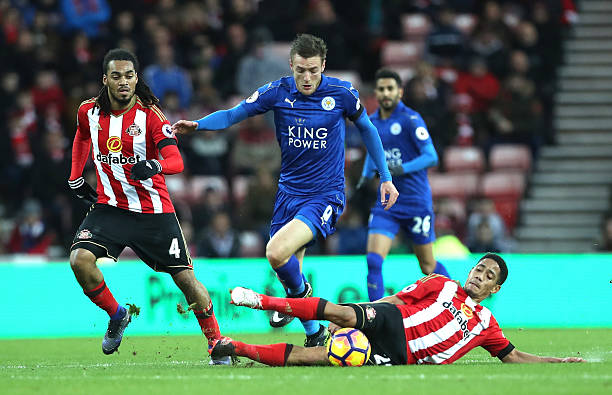 维奇的职业 维奇的职业