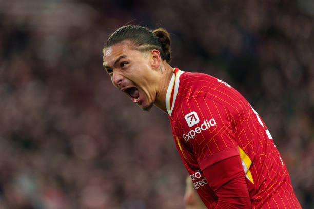 不少人对罗 不少人对罗